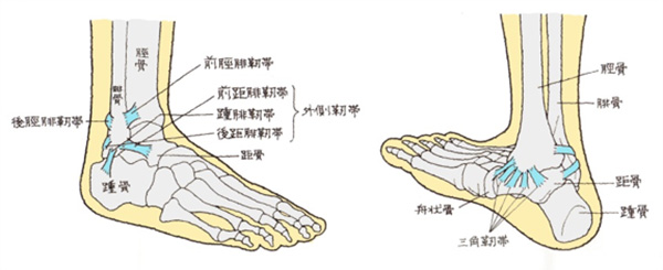 足関節捻挫