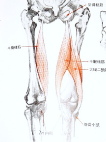 肉離れ